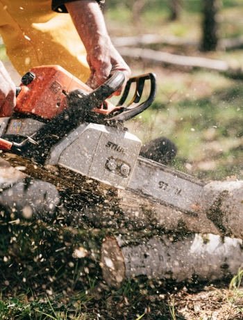 Stihl Motorsägen Aktion!